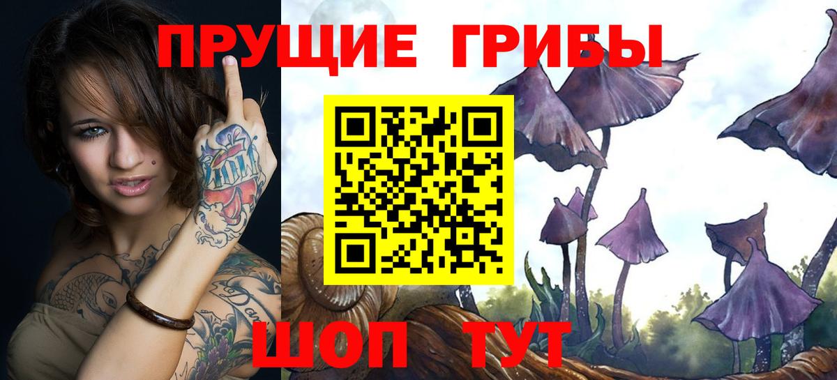 Галлюциногенные грибы Psilocybe Ангарск